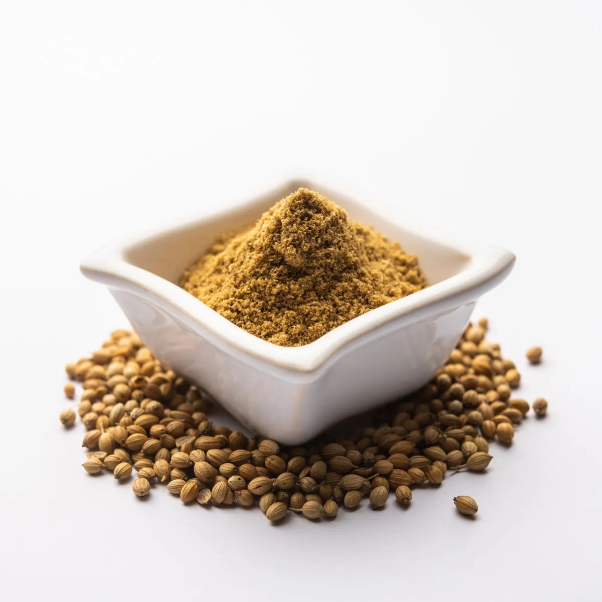 Evermade Masale Coriander Powder (500gm)